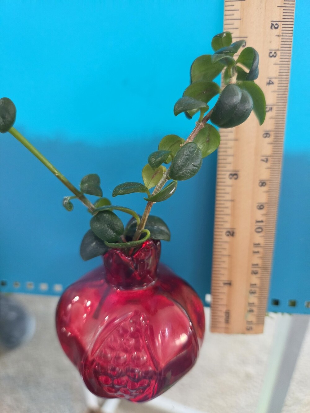 2 1/2 Inch Red Glass Pomegranate Bud Vase -